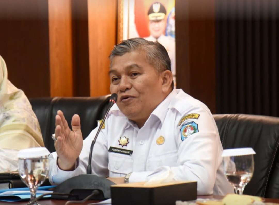 pemerintah daerah